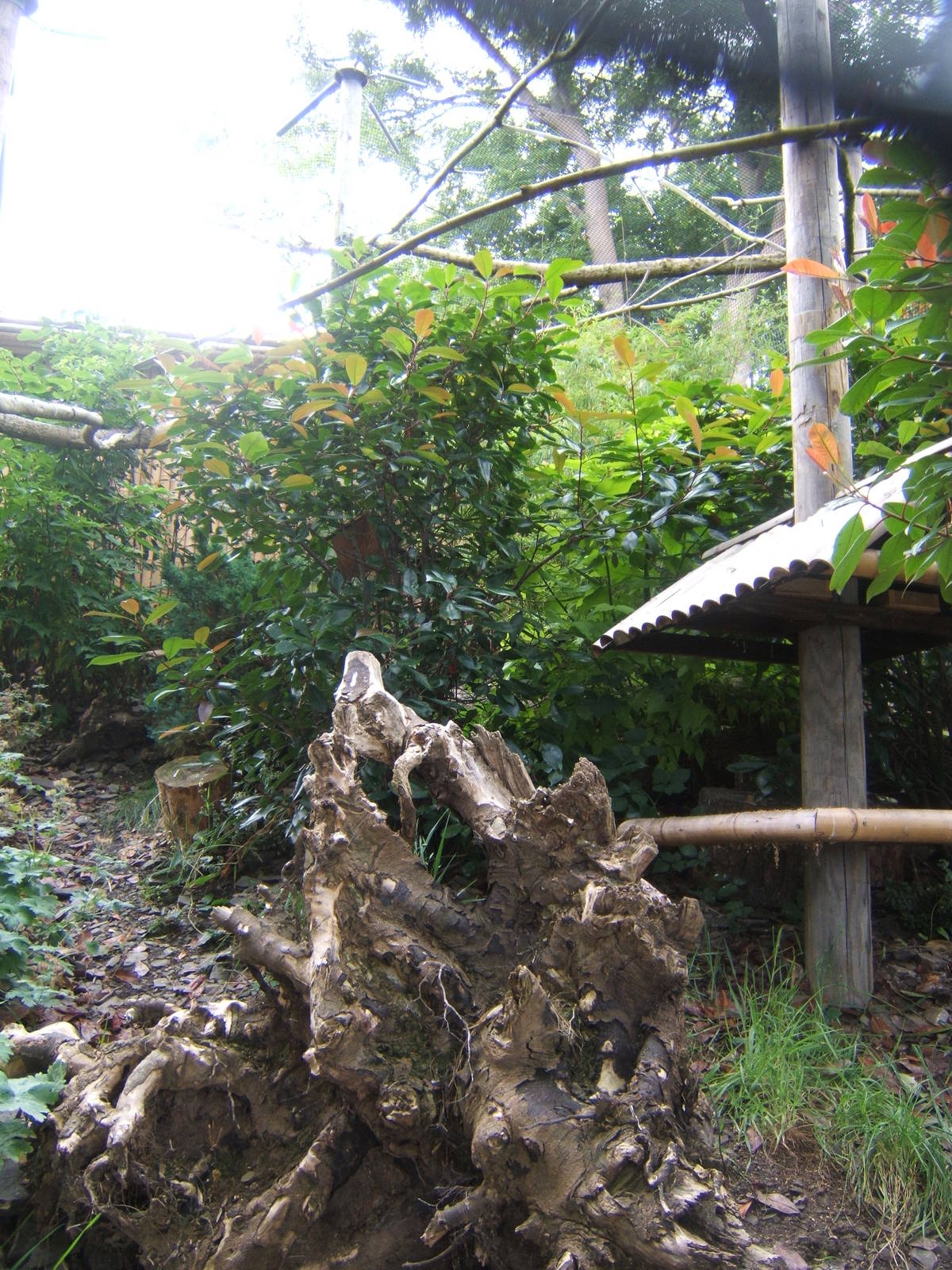 View of Himalayan Bird Aviary