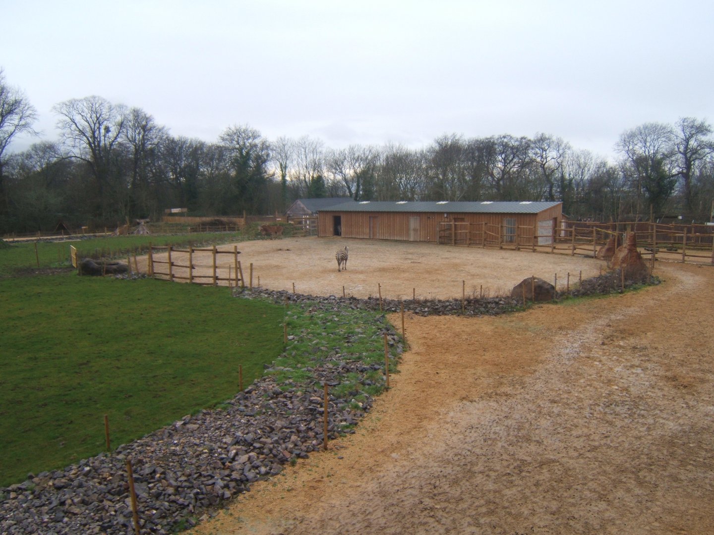 View of hoofstock housing 03/02/2018