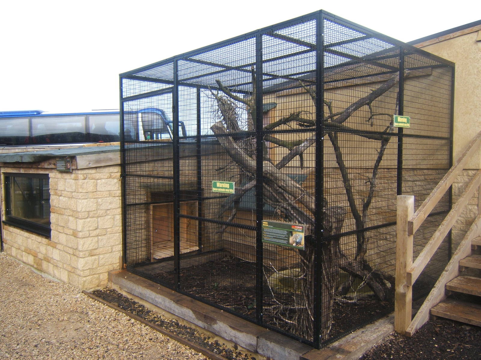 View of house and outdoors for Green Iguana and Red-footed Tortoise
