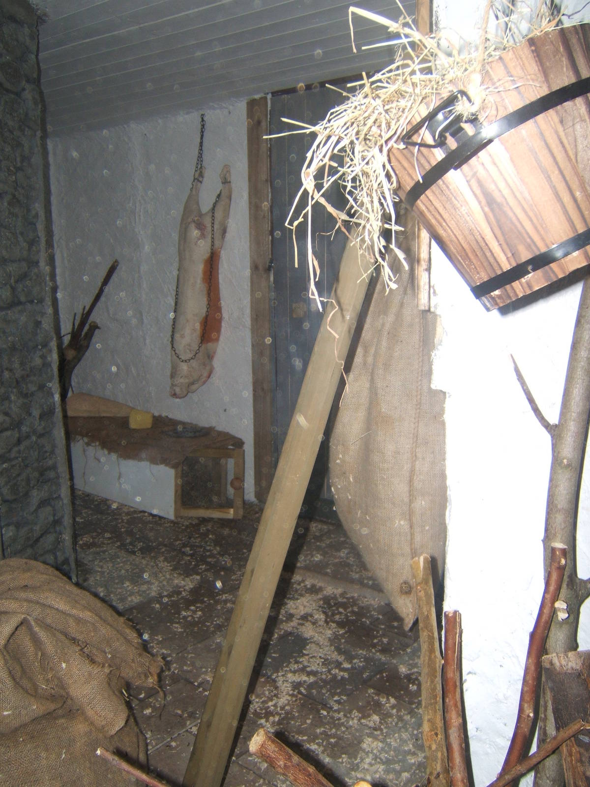 View of House Mouse exhibit