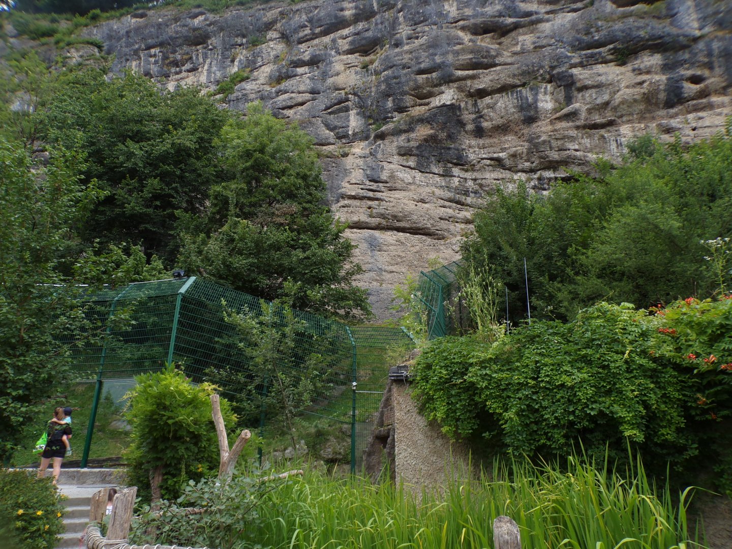 View of huge rock face behind Jaguar enclosure 13.7.25