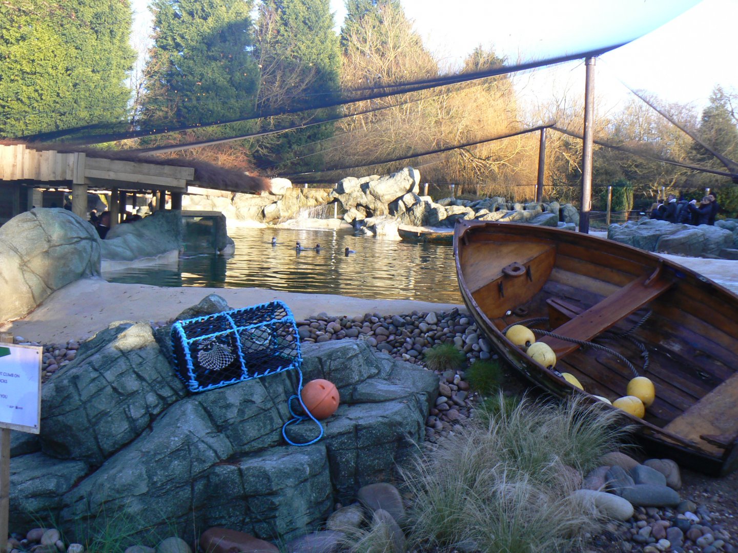 View of Humboldt Penguin Enclosure - 7 January 2018