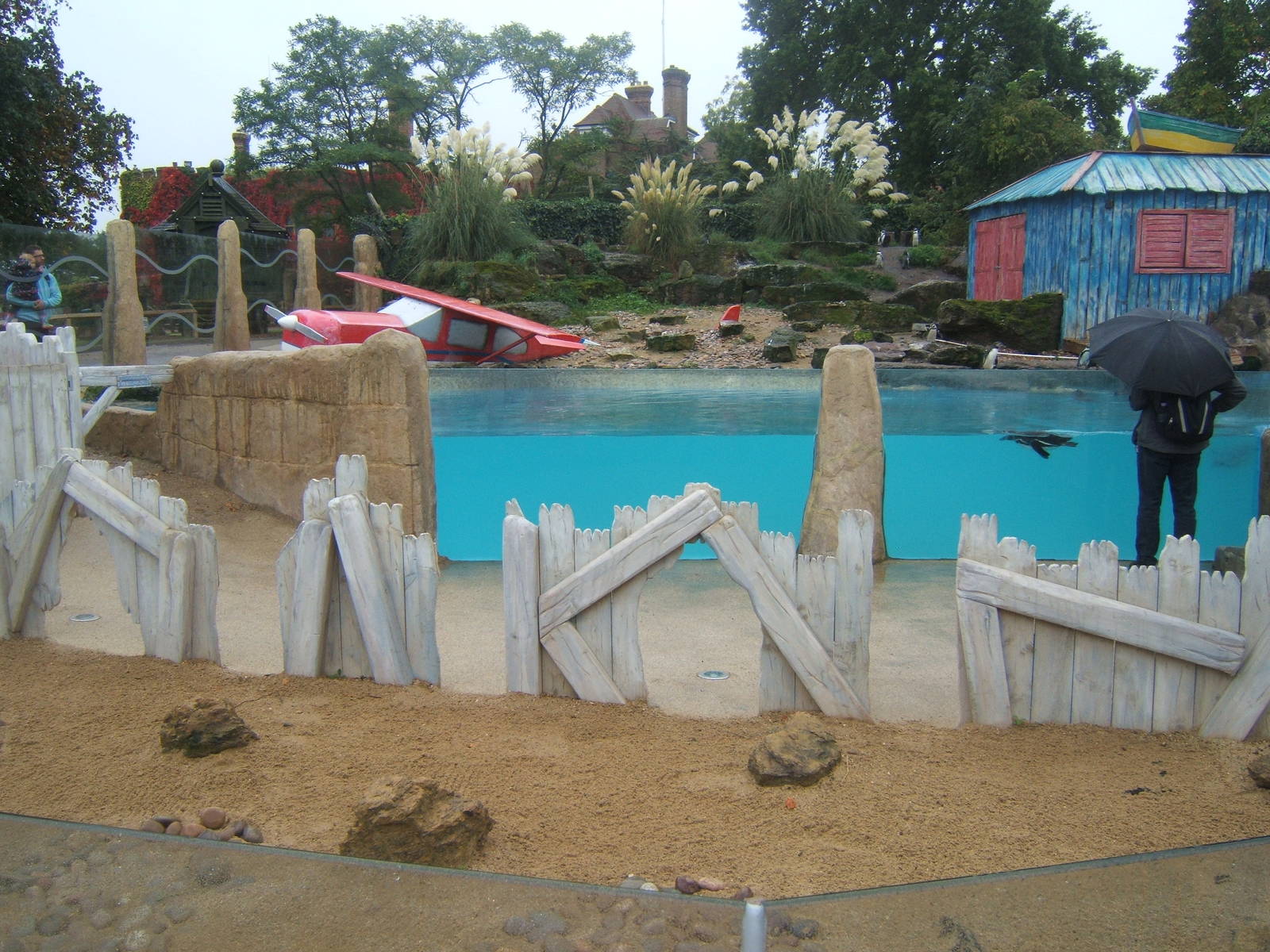 View of Humboldt`s Penguin enclosure