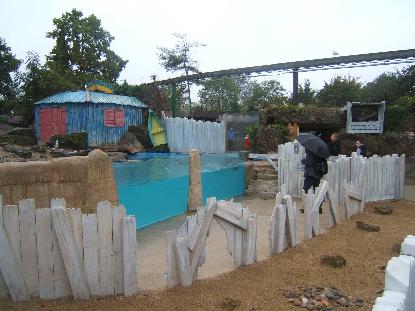View of Humboldt`s Penguin enclosure