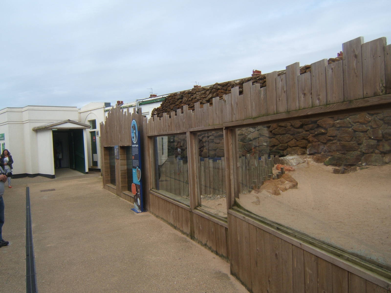 View of Humboldt`s Penguin enclosure