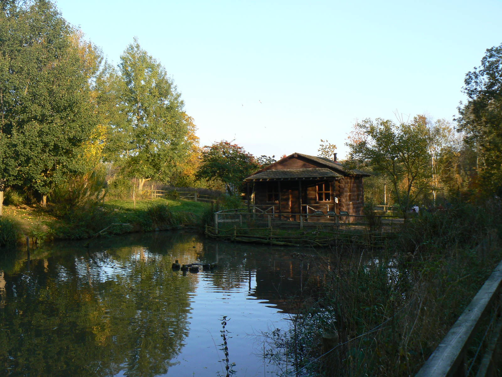 View of Hunter's Creek - 26 October 2015