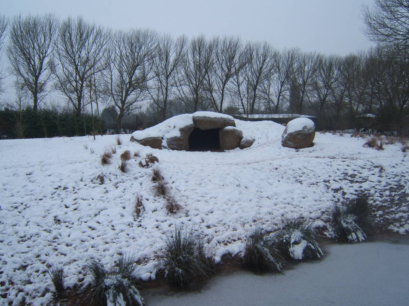 View of Hunting Dog enclosure in snow