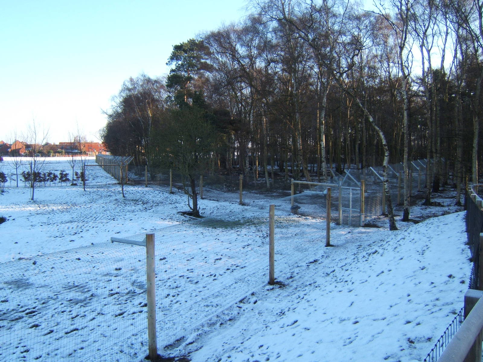 View of Hunting Dog enclosure