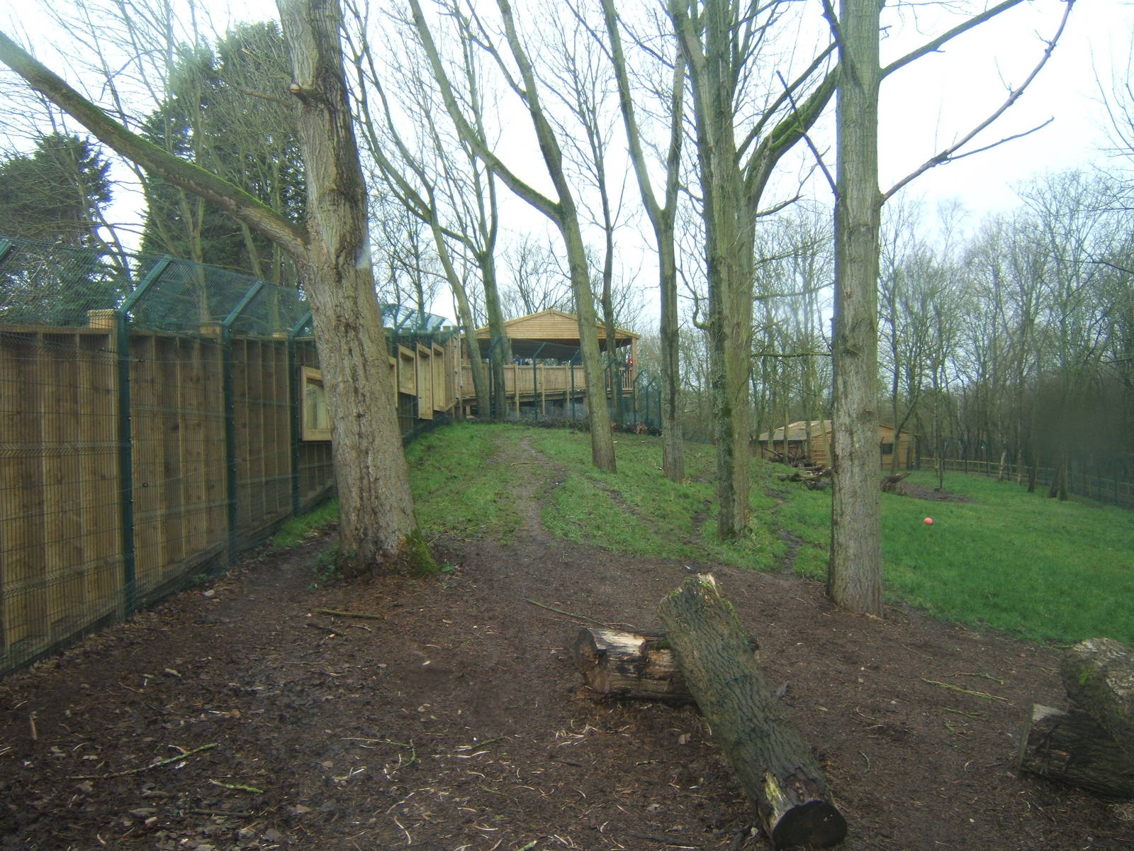 View of Iberian Wolf enclosure