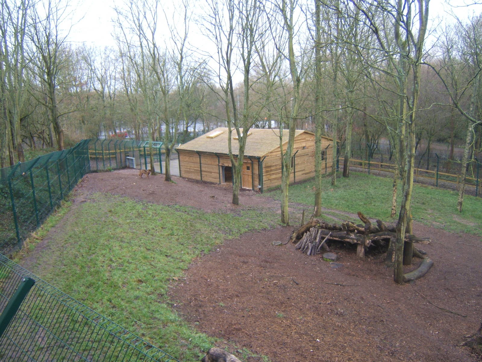 View of Iberian Wolf House