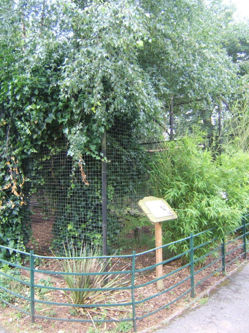 View of Ibis aviary 29/07/2017