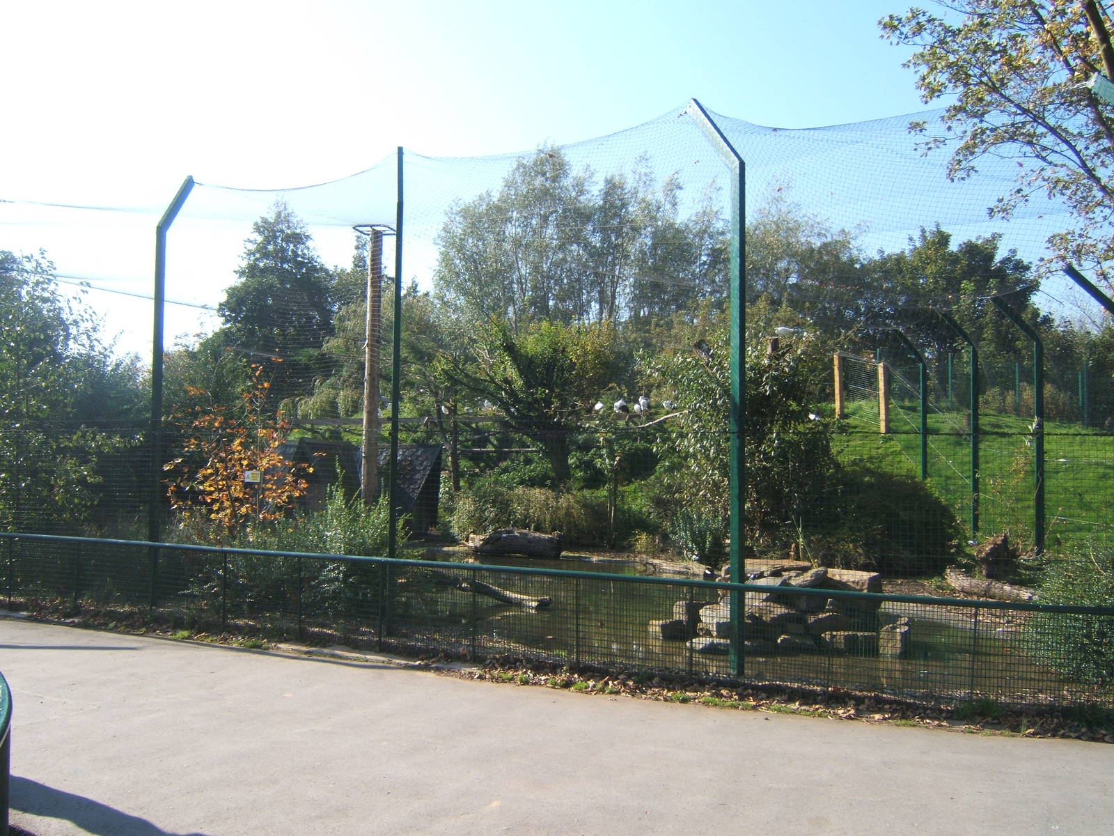 View of Ibis Aviary