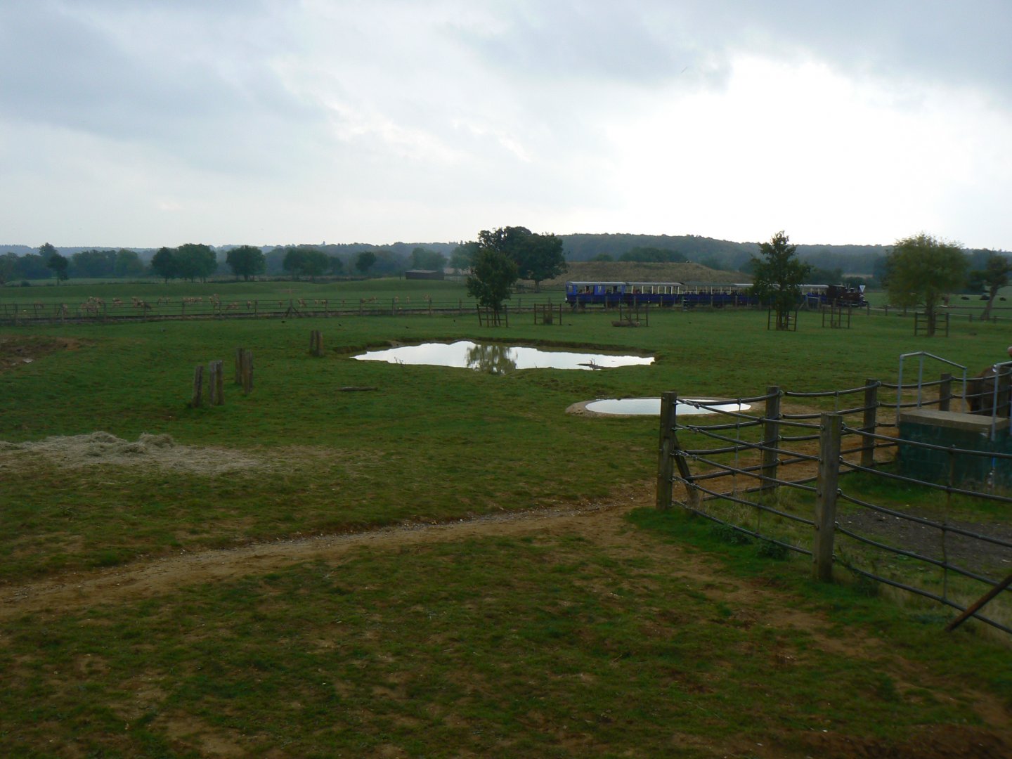 View of Indian Rhinoceros Paddocks and Asia Drivethrough - 15 October 2016
