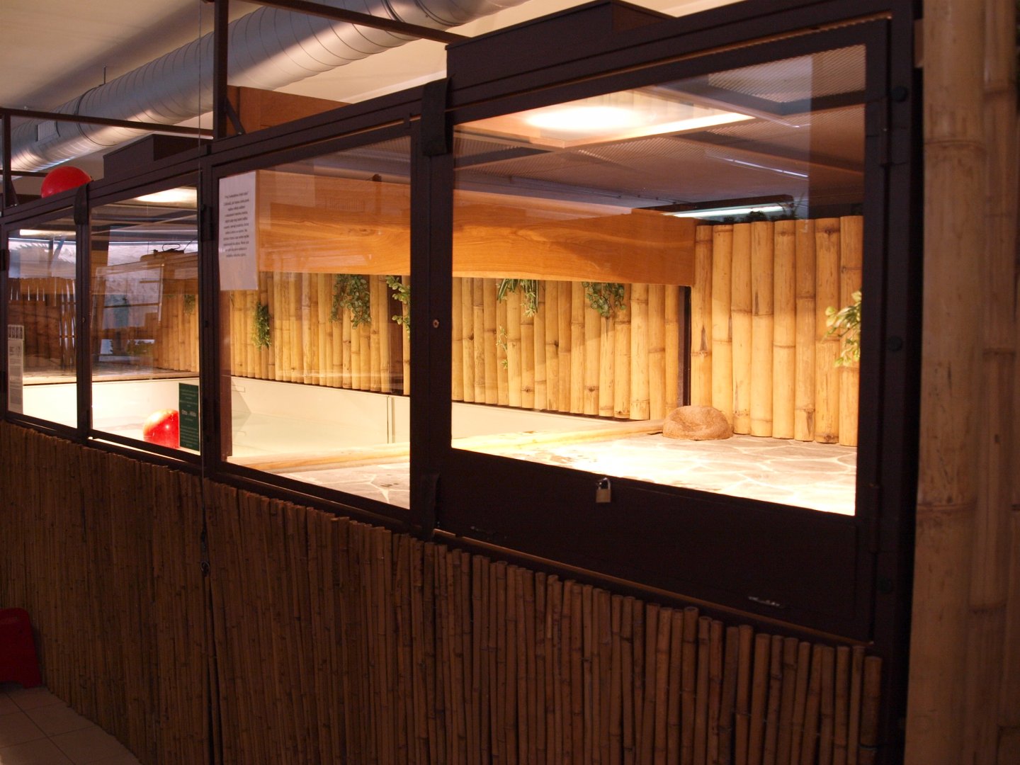 View of individual species enclosure