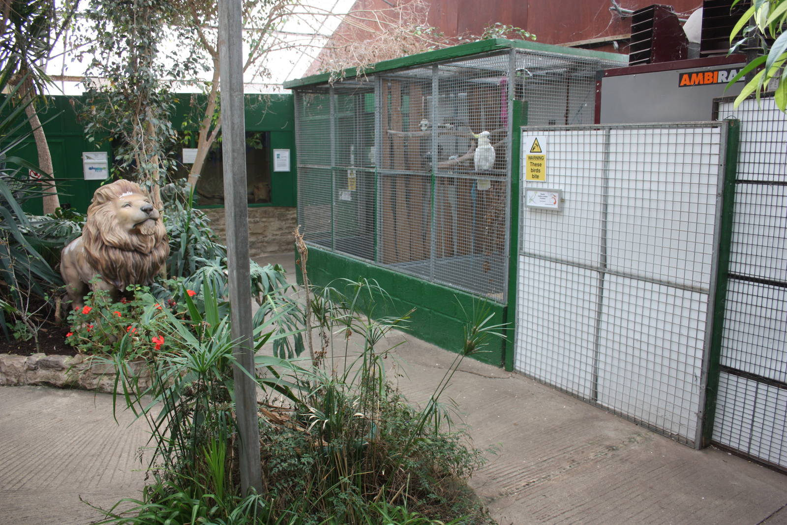 View of indoor area showing aviaries for Blue-fronted Amazons and Greater S