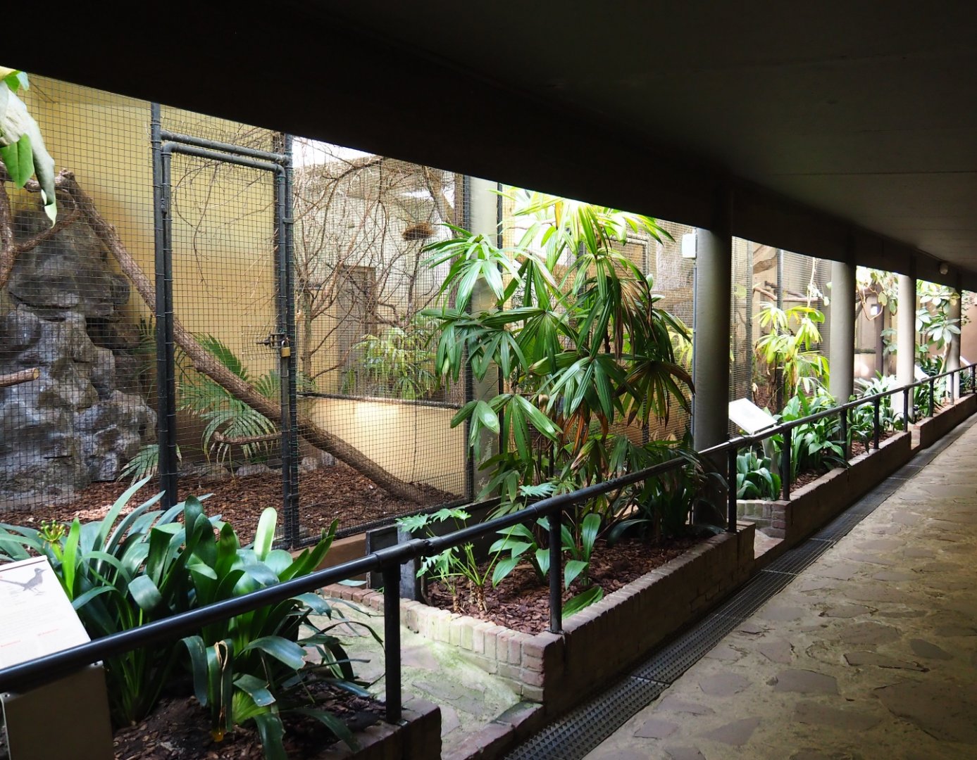 View of indoor aviaries in the old pheasantry bird house (Sep 16th, 2018)