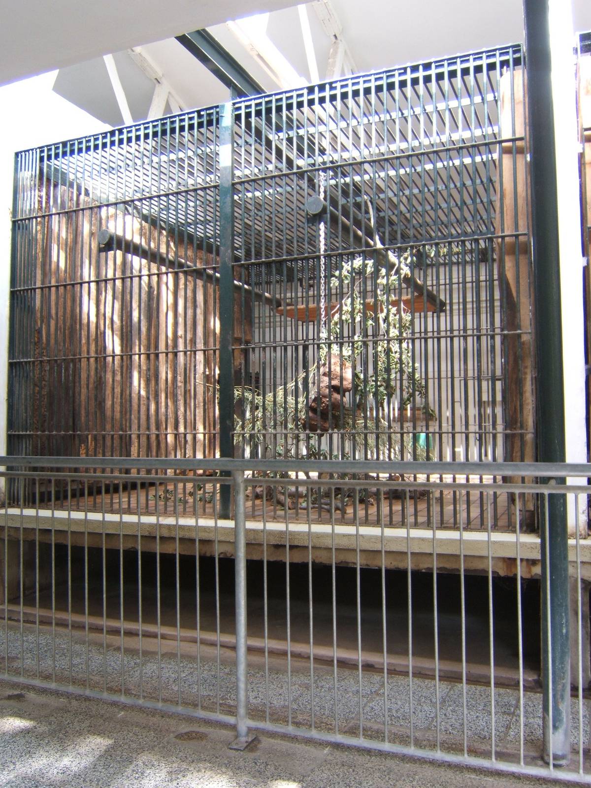 View of indoor cage for Sun Bear
