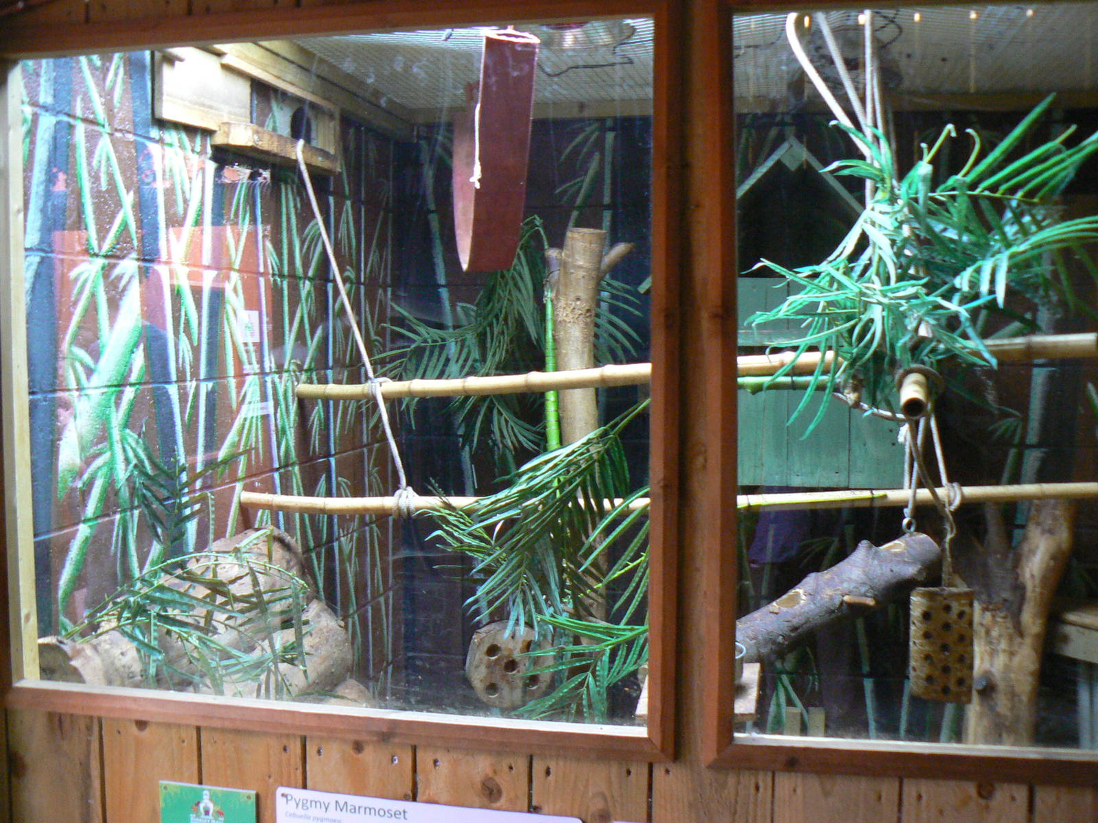 View of Indoor Callitrichid and Agouti Enclosure - 6 August 2016, Kirkley H