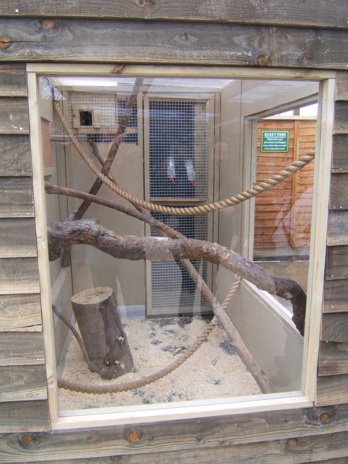 View of indoor for Tamarinss