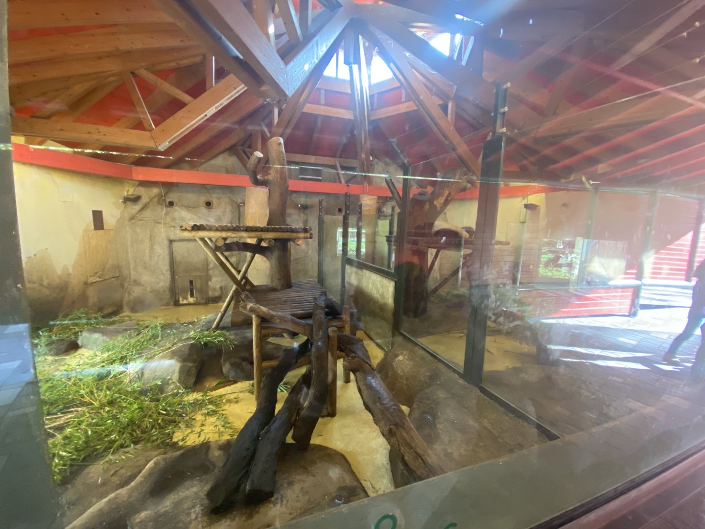 View of indoor giant panda enclosures