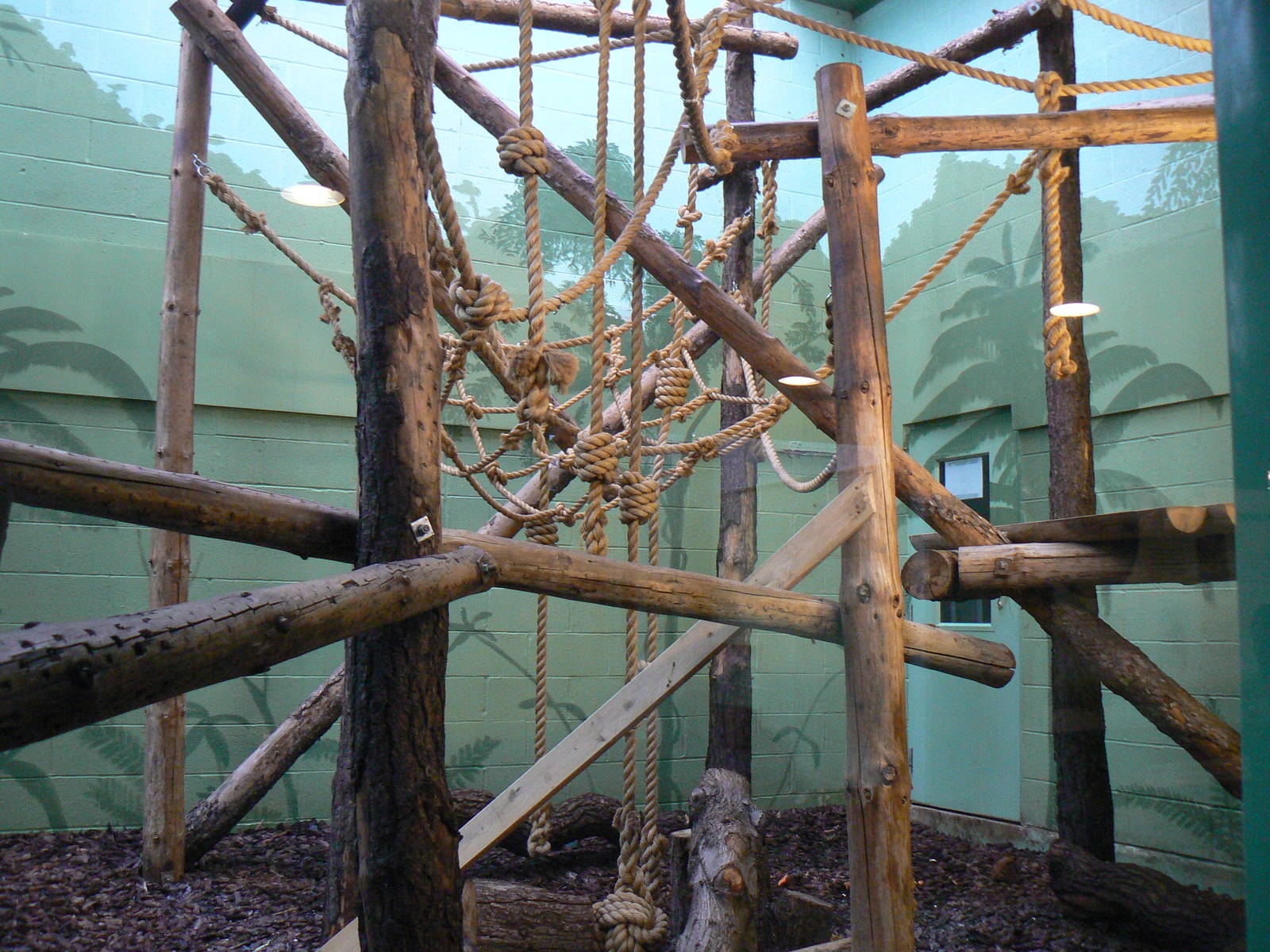 View of Indoor Housing for Brown Spider Monkeys - 6 February 2016