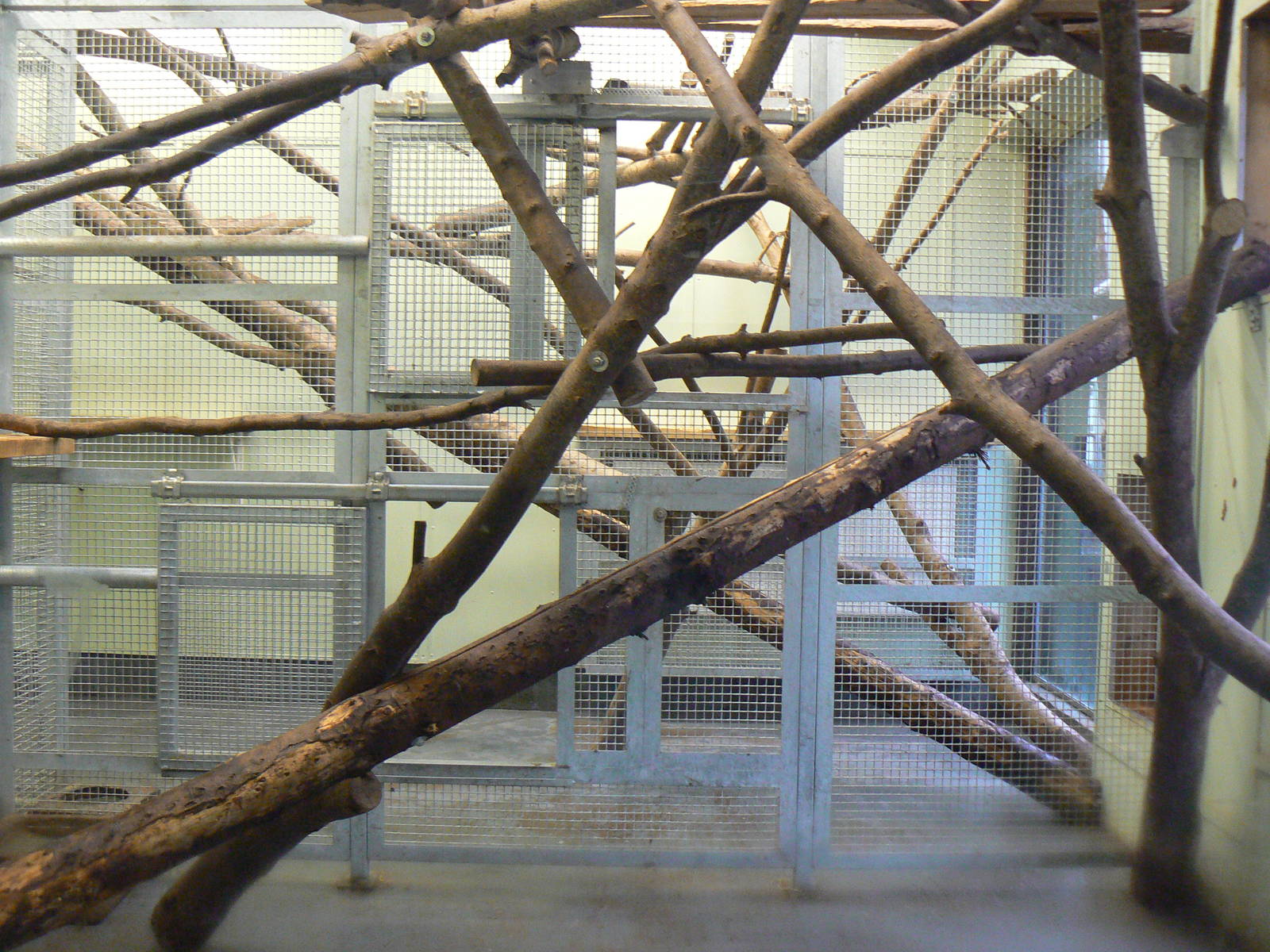 View of Indoor Housing for Drills - 6 February 2016