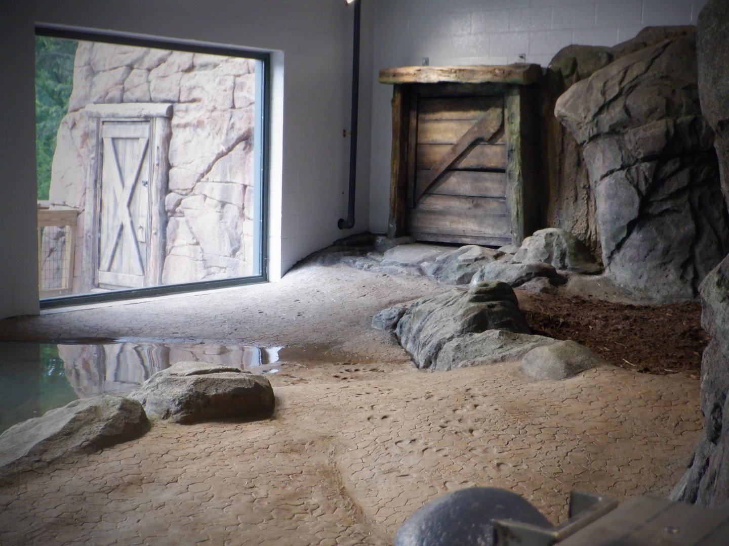 View of Indoor Pygmy Hippo Exhibit from inside of it!