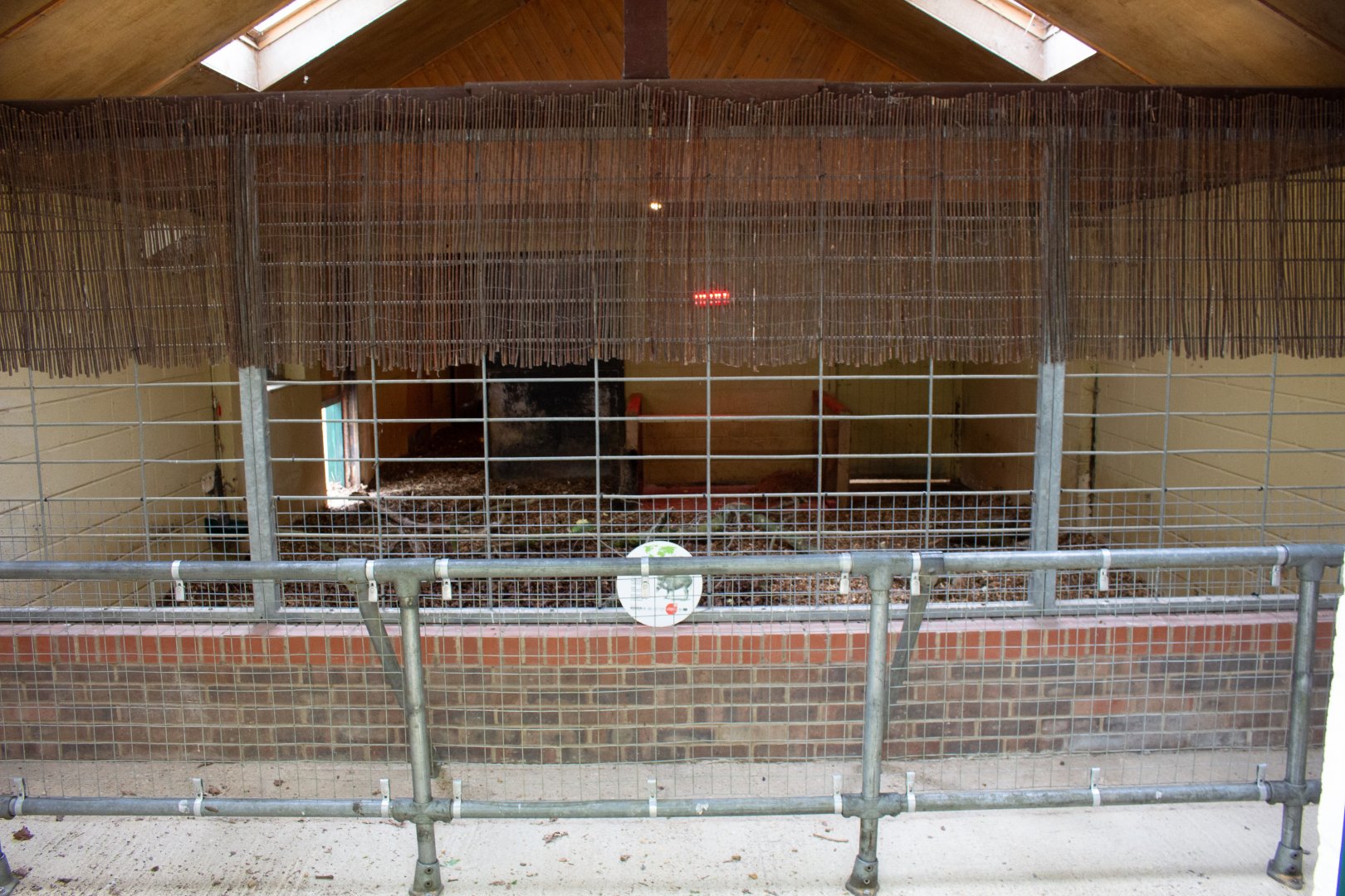 View of Indoor Space for Visayan Warty Pig
