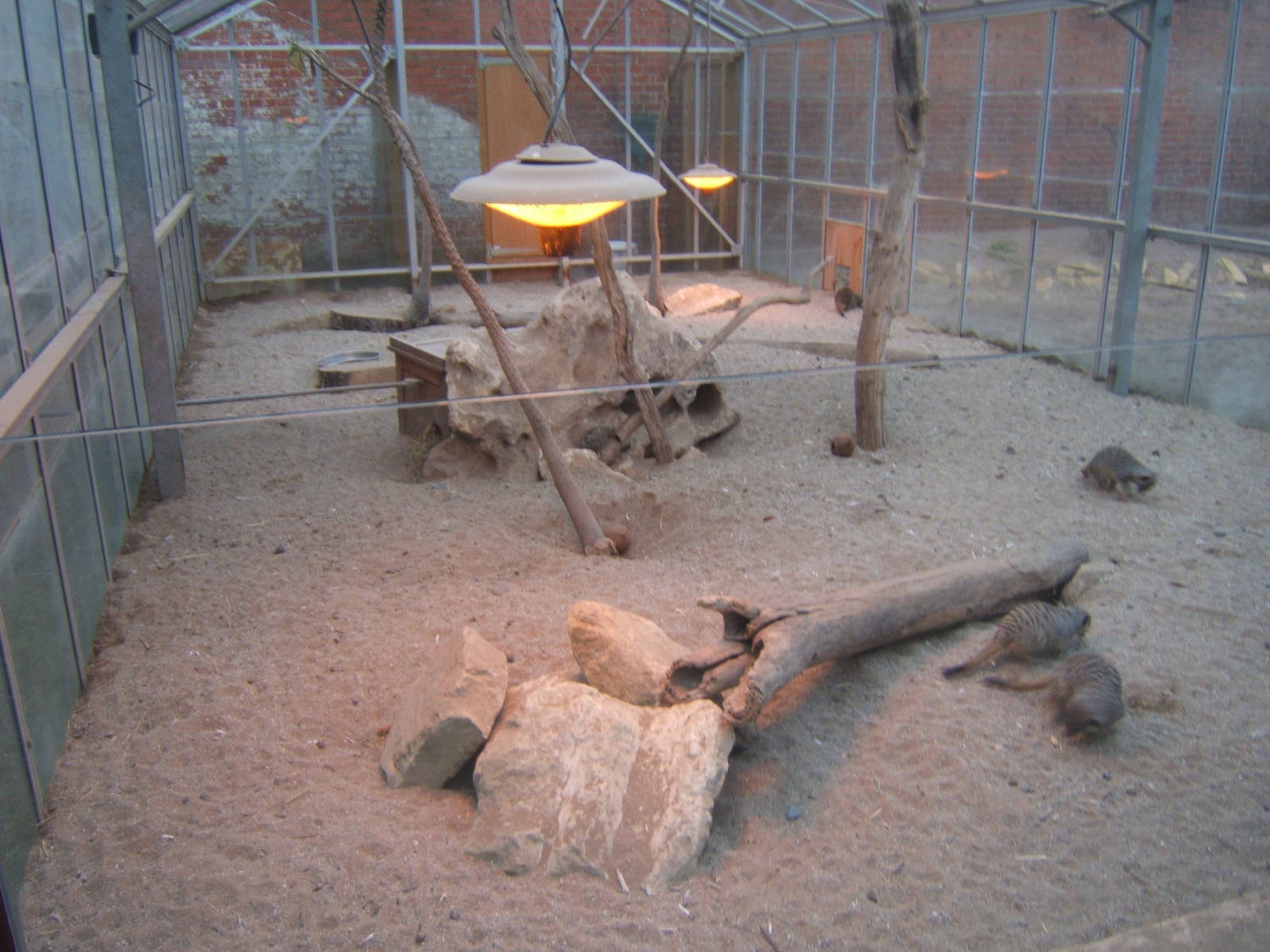 View of inside Meerkat House