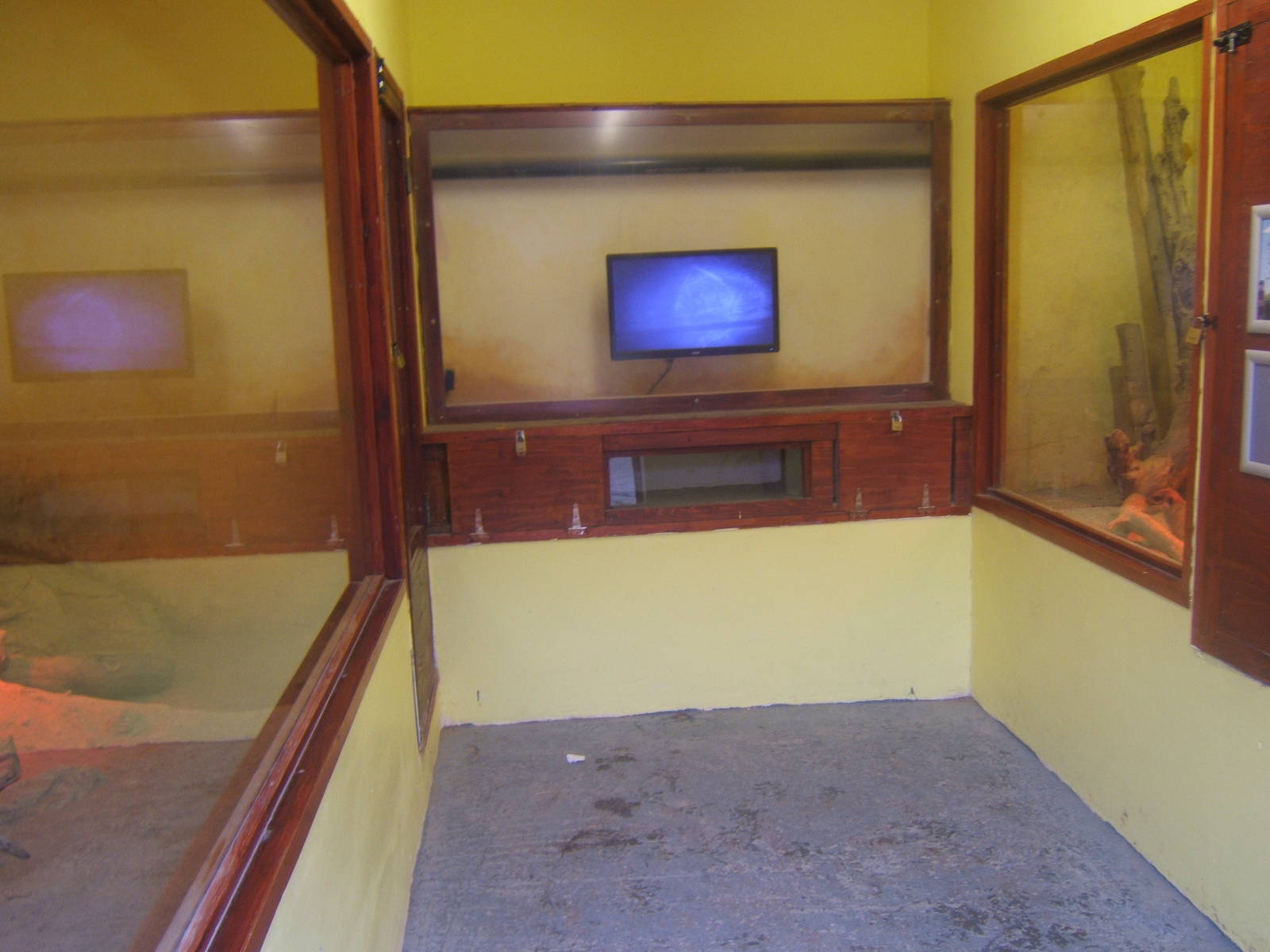 View of inside Meerkat House