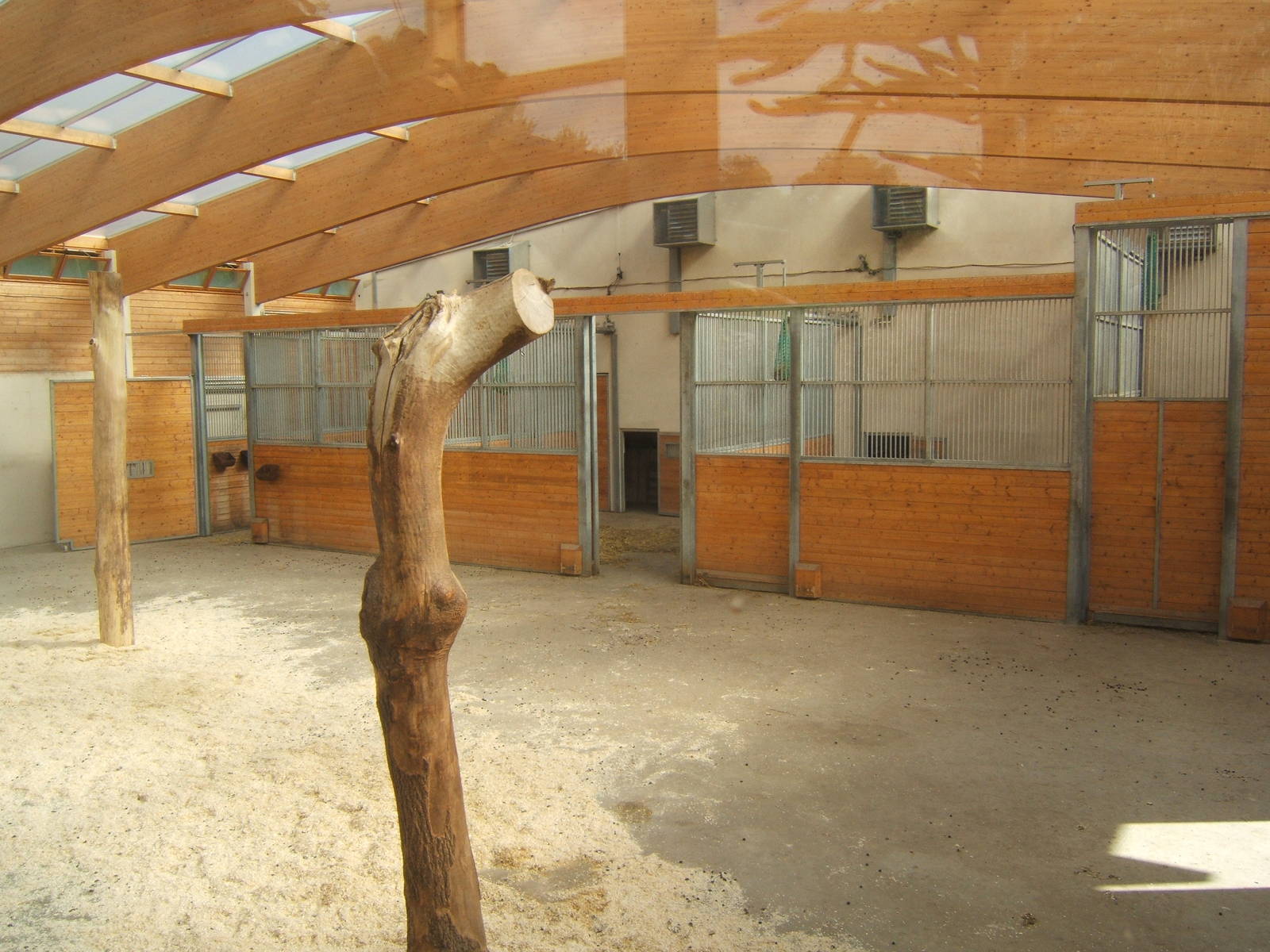View of inside new Giraffe House