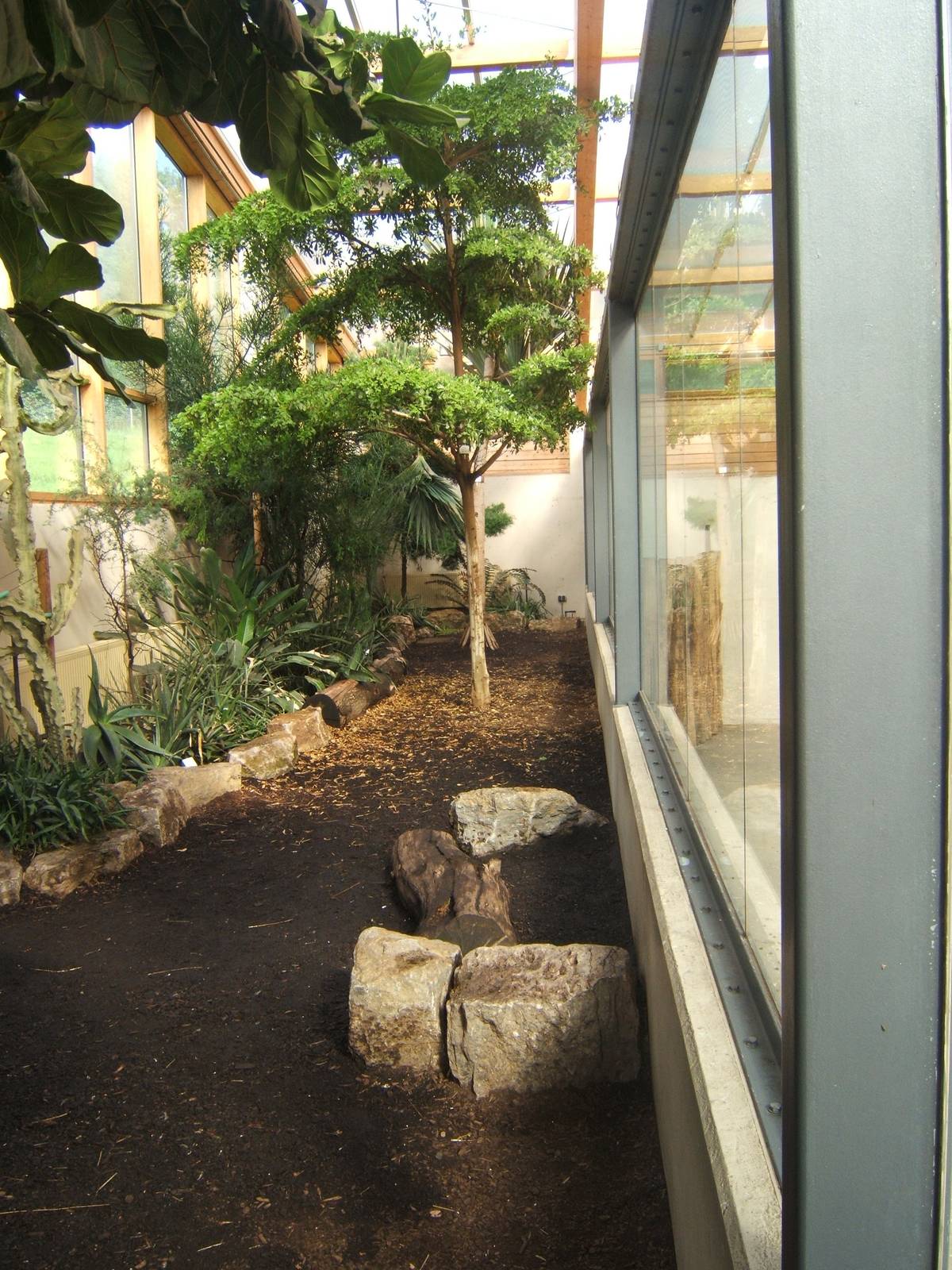 View of inside new Giraffe House