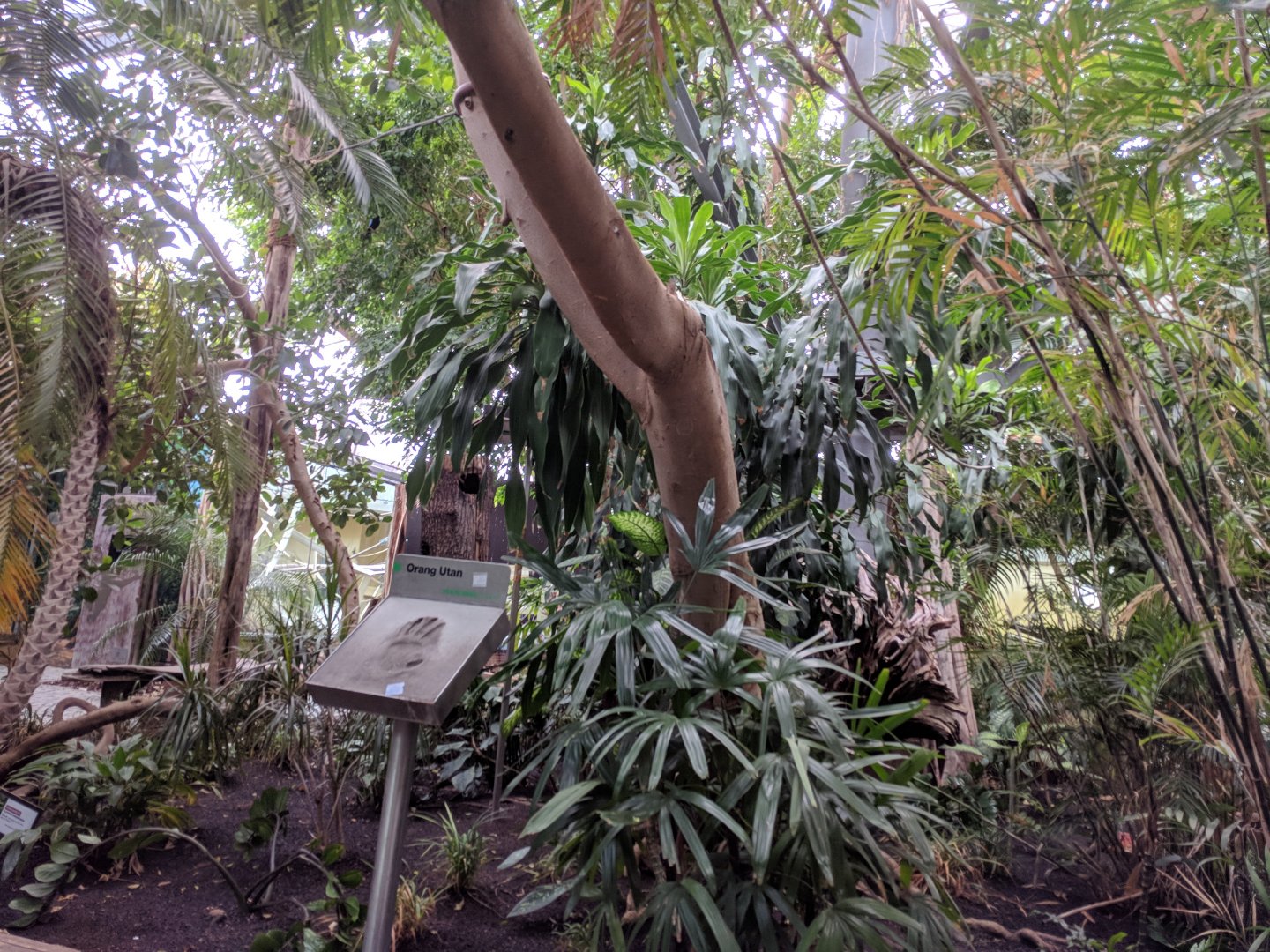 View of inside the Great Apes Building