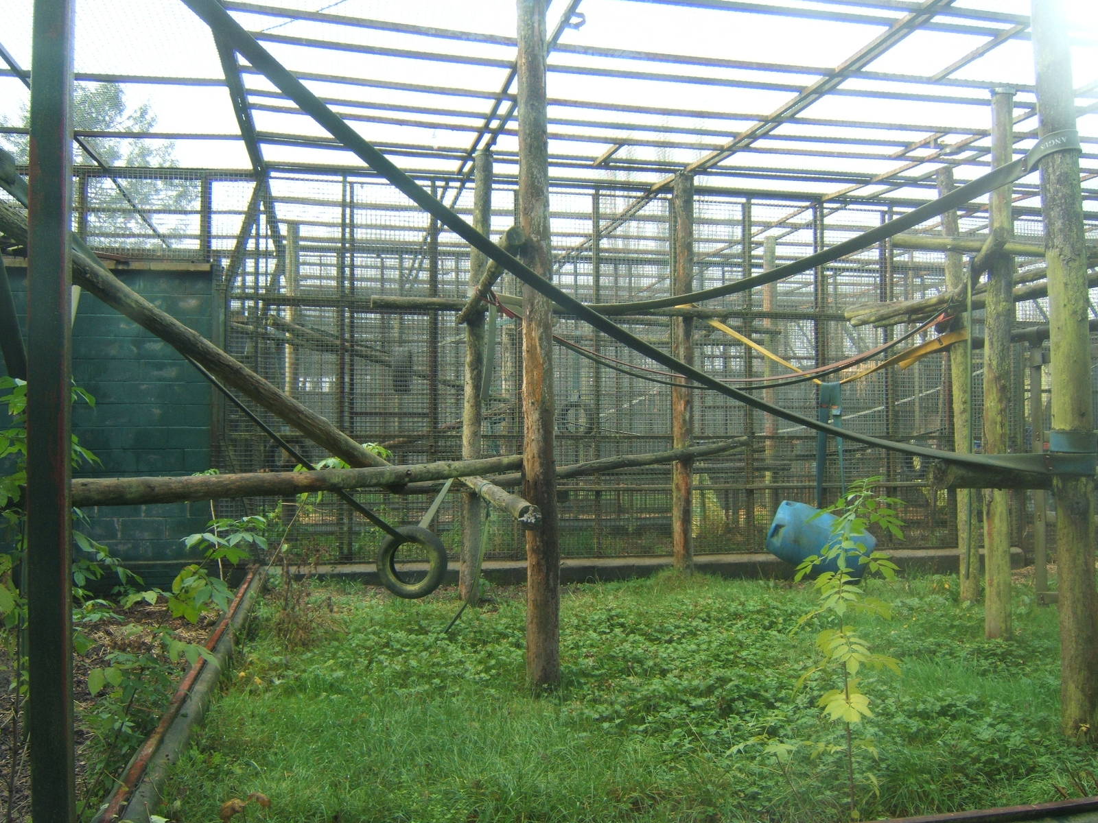 View of inside the green mile cages