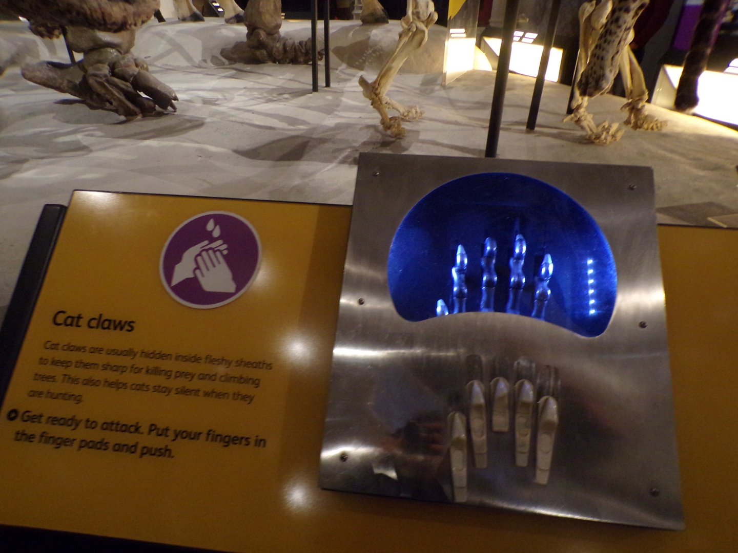 View of interactive signage 30.12.22