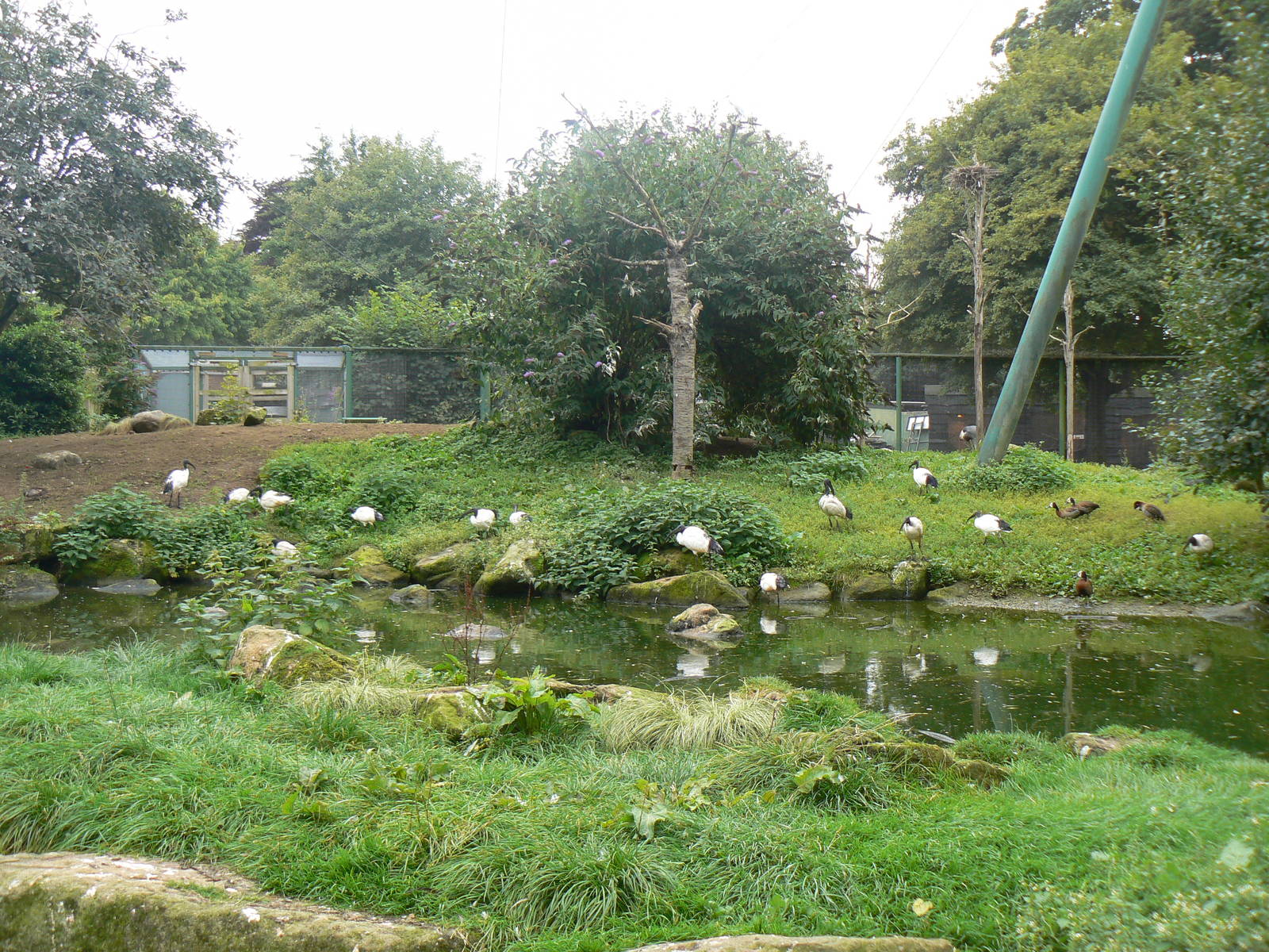 View Of Into Africa.