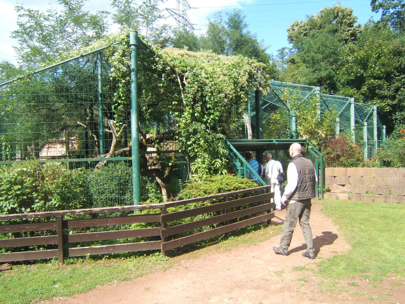 View of Jaguar enclosure