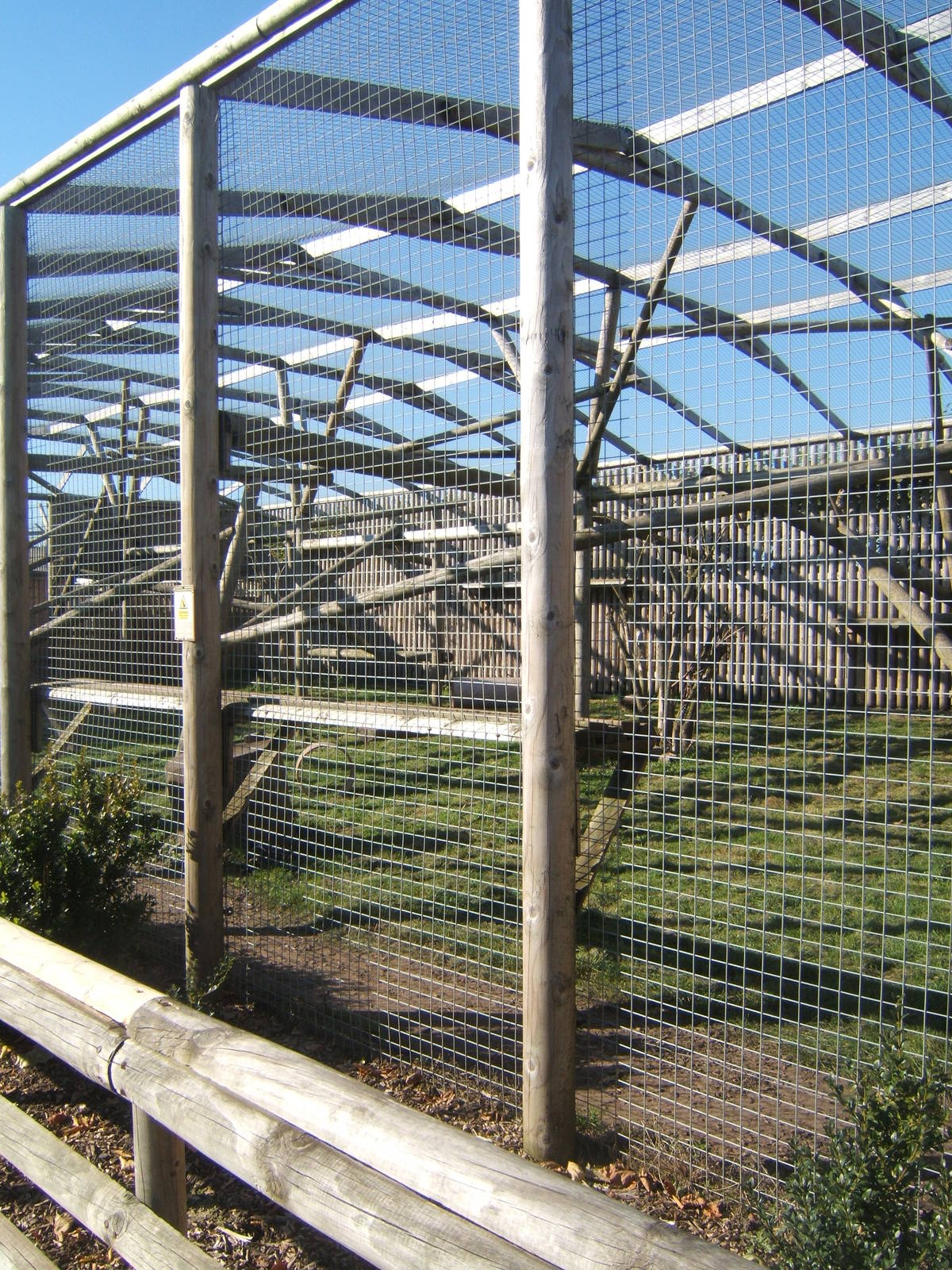 View of Jaguar enclosure