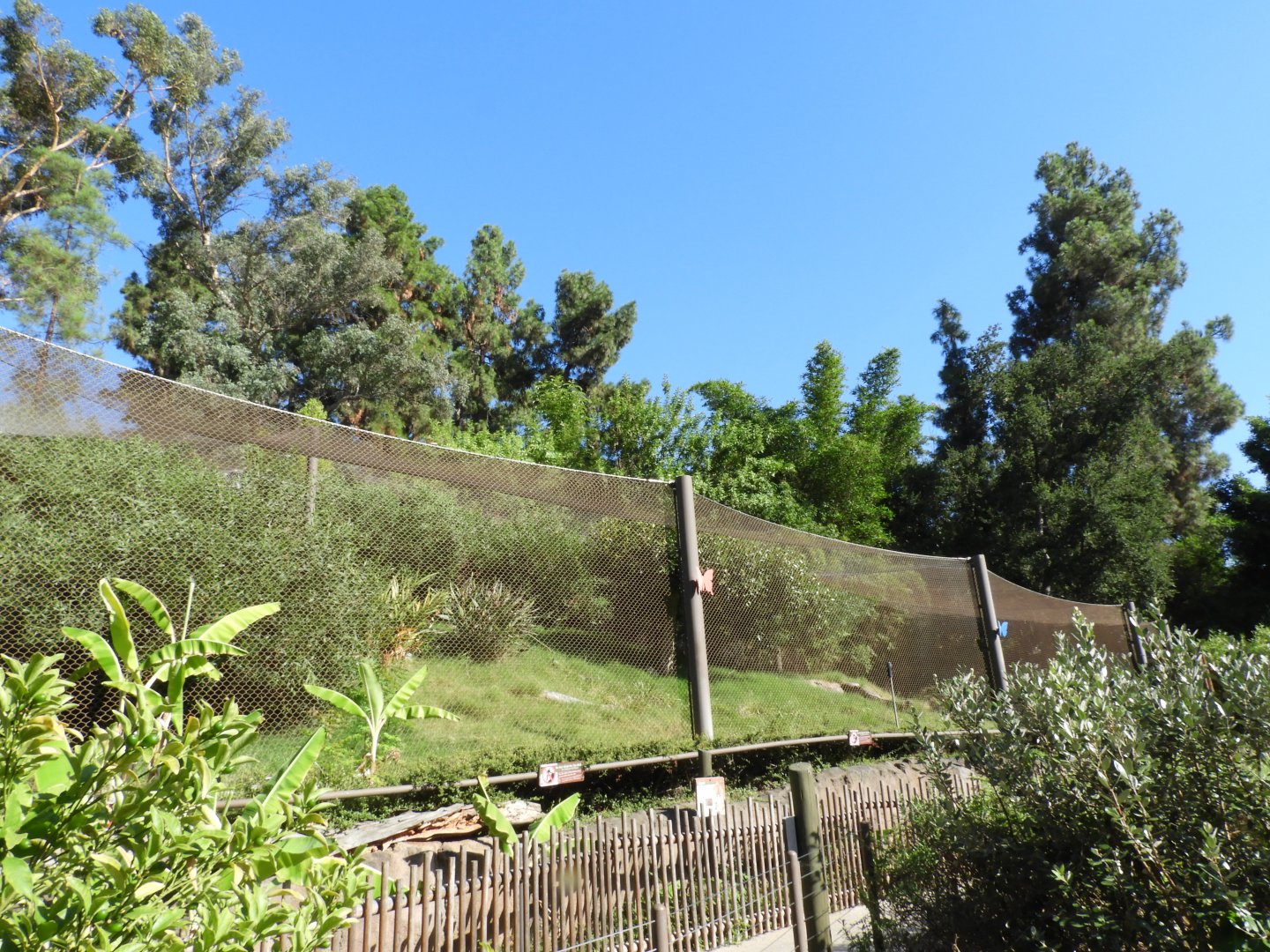 View of jaguar enclosure