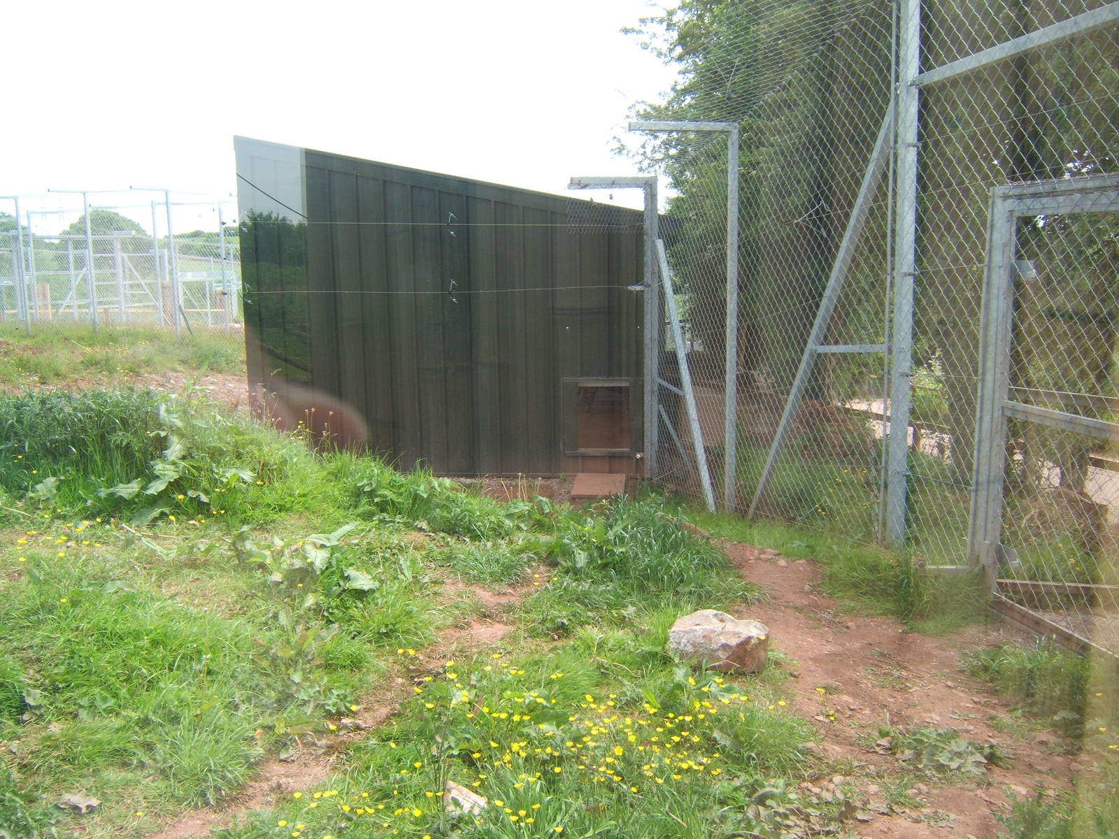 View of Jaguar House