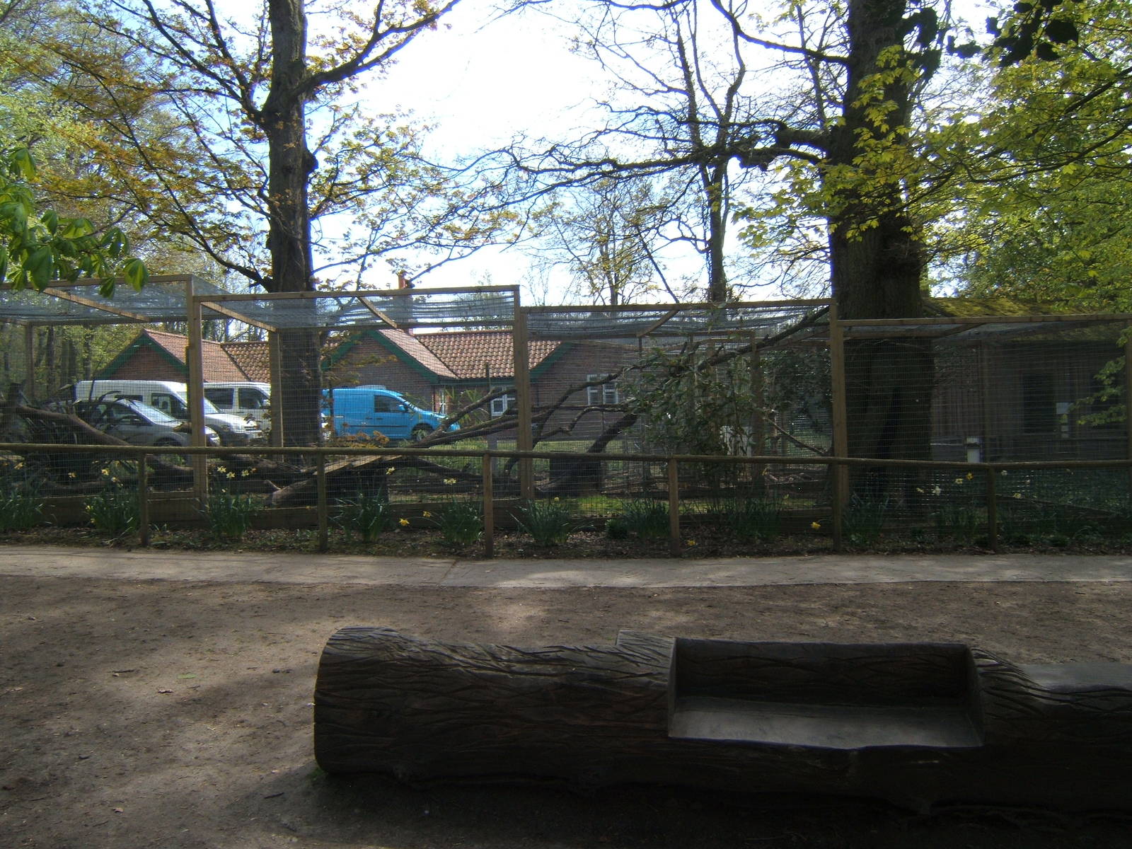 View of Jaguarundi enclosure