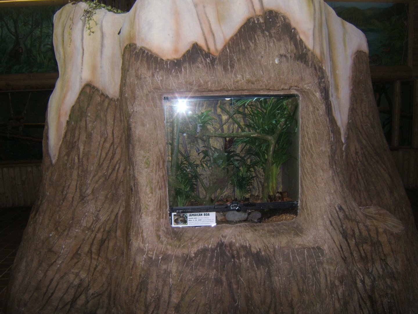 View of Jamaican Boa exhibit in Monkey House