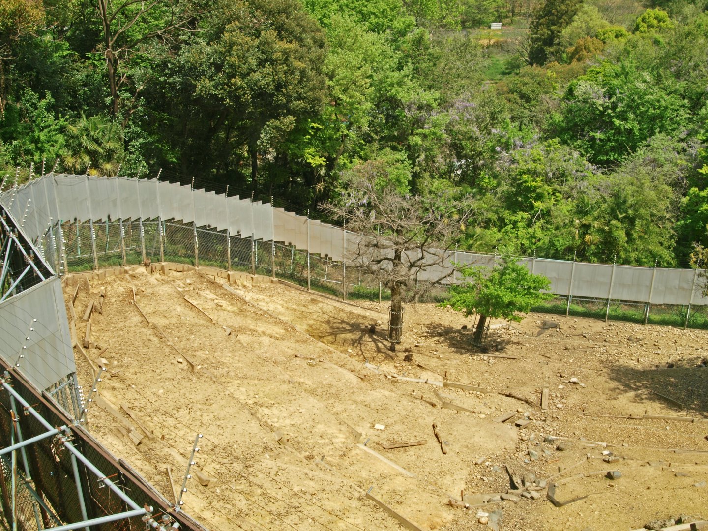 View of Japanese macaque enclosure