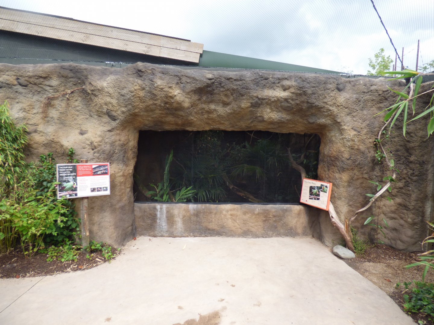 View of Javan Green Magpie Aviary