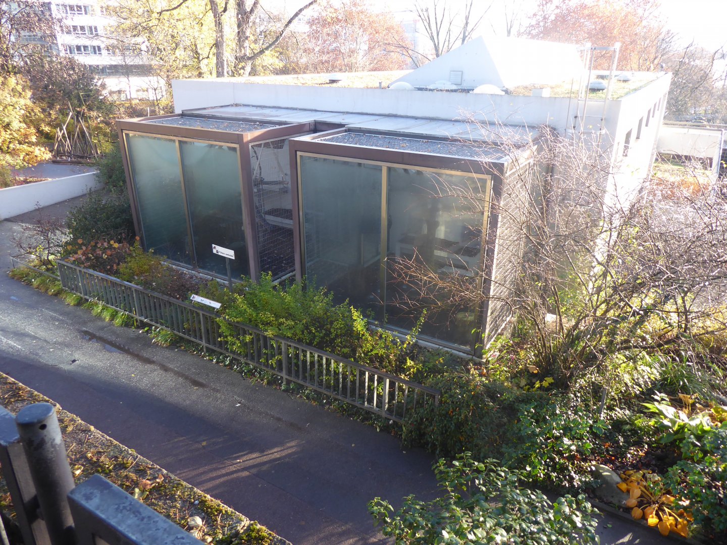 View of Javan lutung exhibits from Subtropenterrassen 011218
