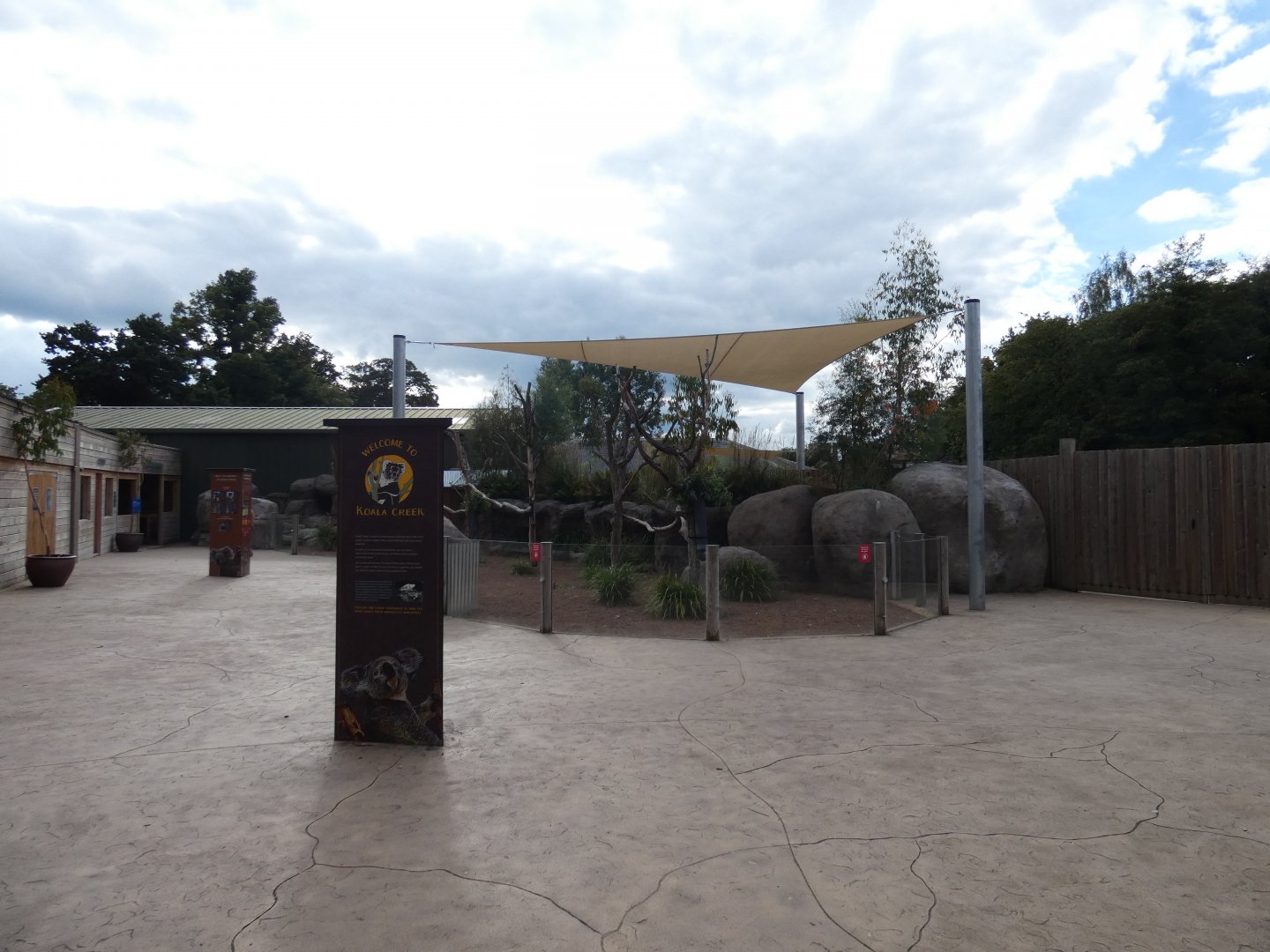 View of Koala outdoor