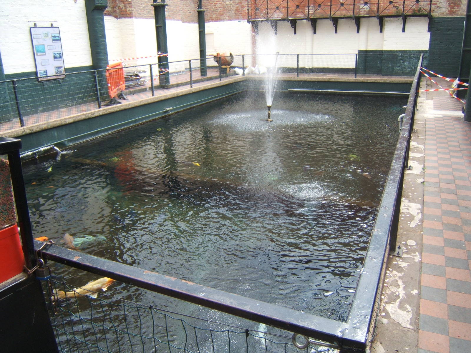 View of Koi pool,that used to be a swimming pool