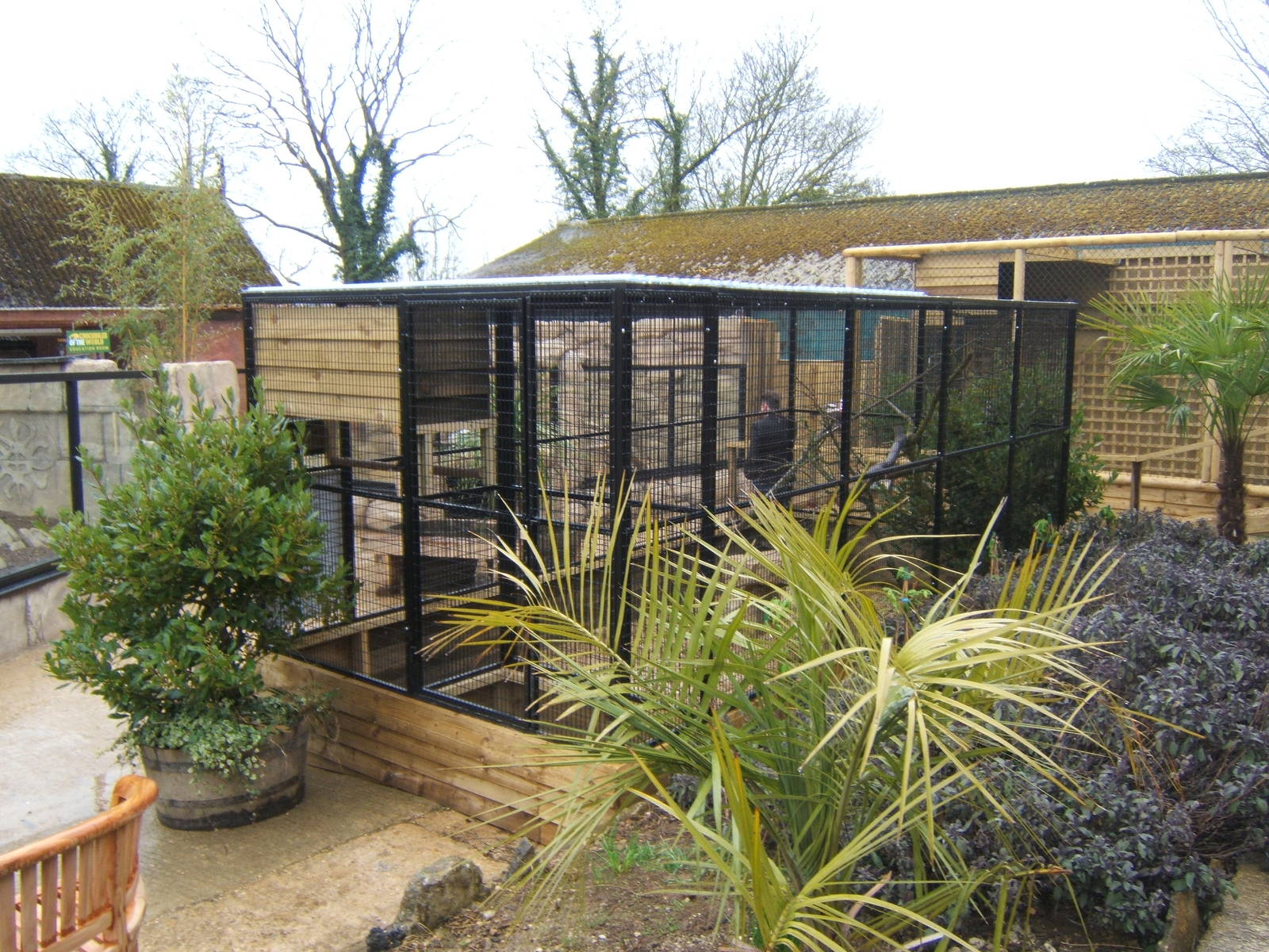 View of Kookaburra aviary