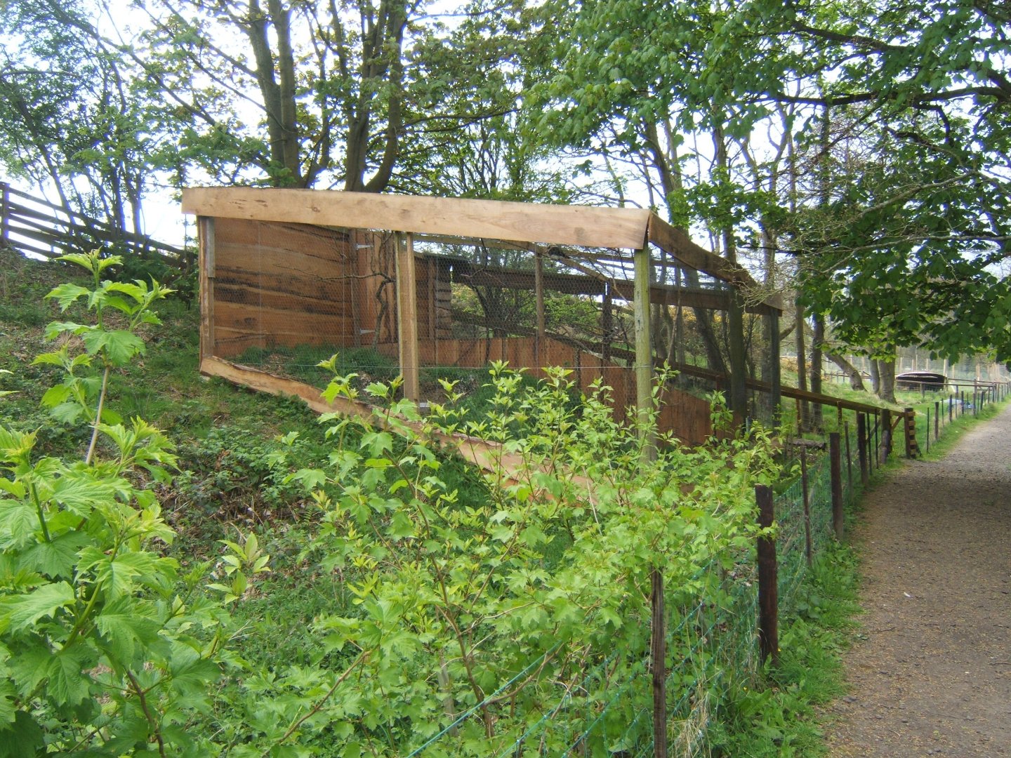 View of Kookaburra Aviary
