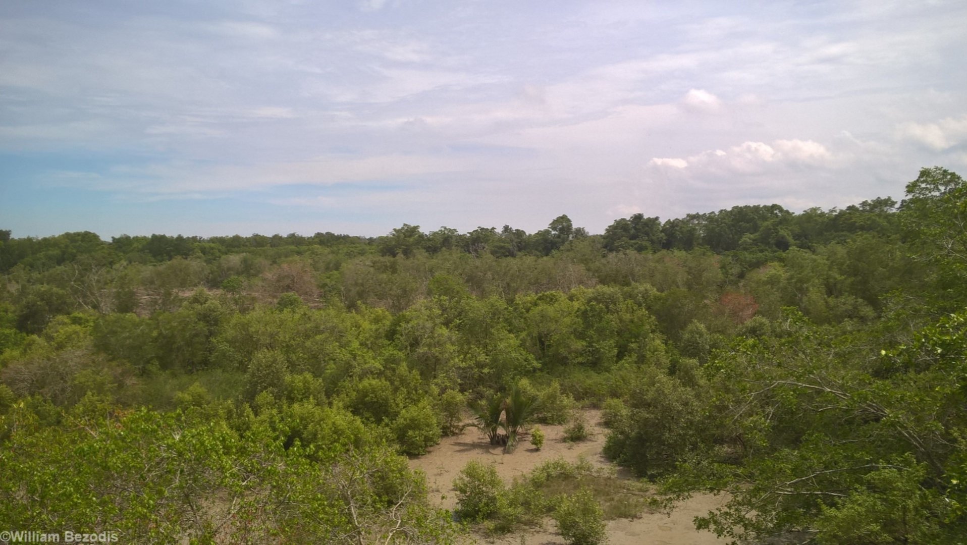 View of Kuala Selangor Taman Alam